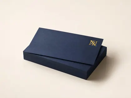 Silk Business Cards 400gsm (Unlaminated)